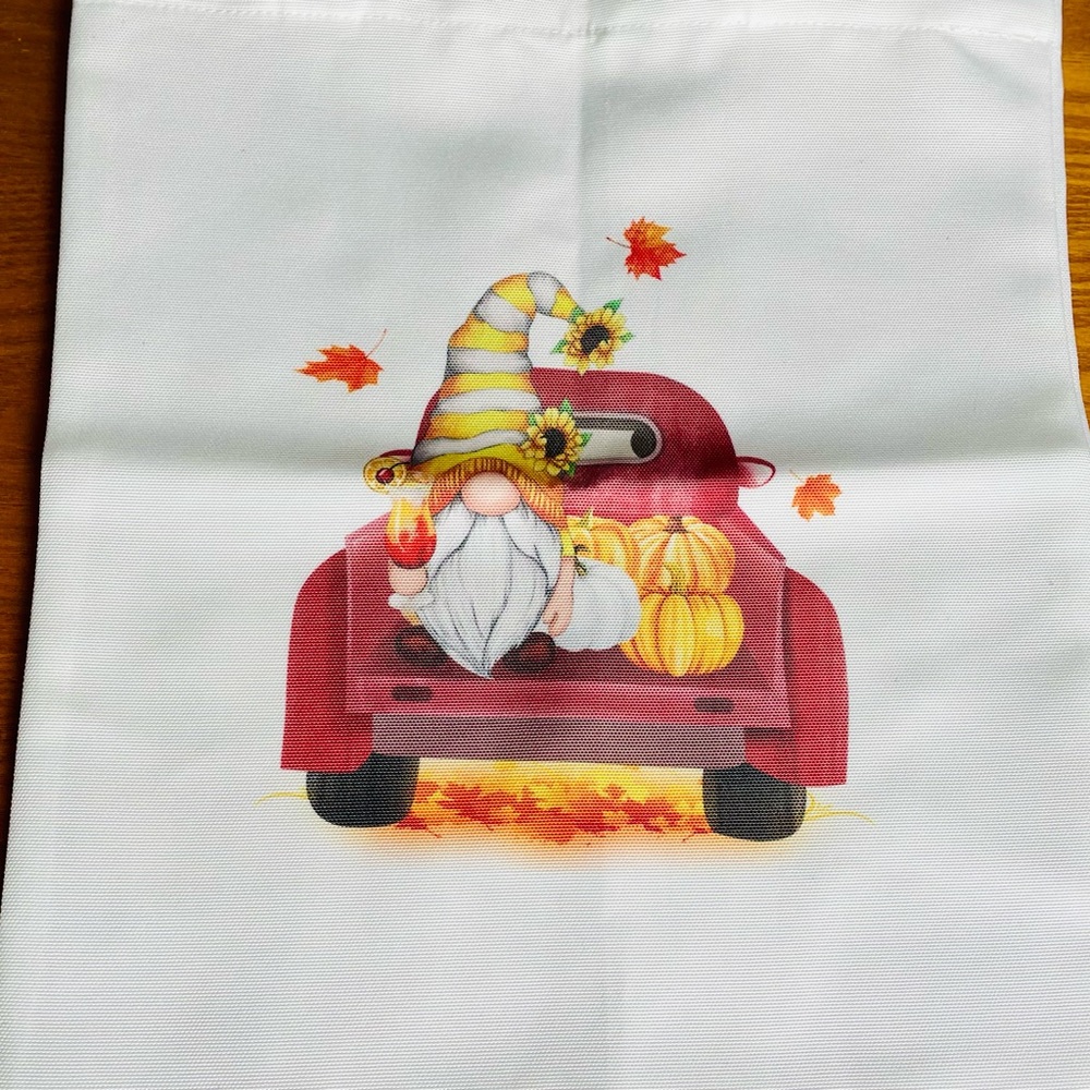 This is a gnome in a pickup bag